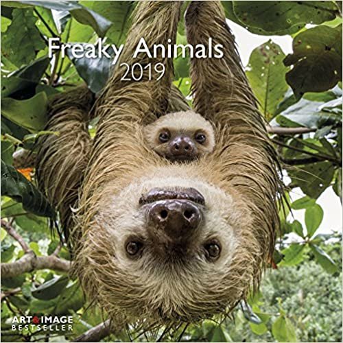 2019 Freaky Animals Calendar - Animal Calendar - 30 x 30 cm indir