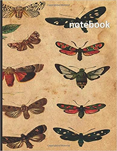 Notebook: 8.5 x 11, Blank, Unlined, 100 pages, Journal, Diary, Composition Book, Butterfly indir