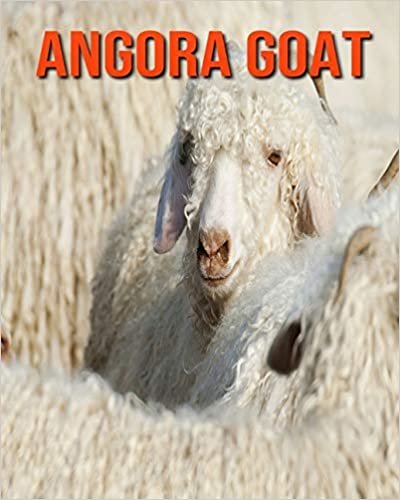 Angora Goat: Amazing Pictures and Facts About Angora Goat