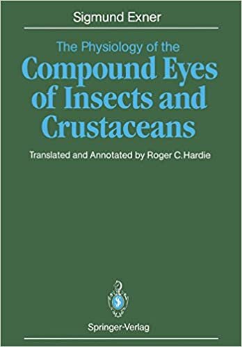 The Physiology of the Compound Eyes of Insects and Crustaceans: A Study indir