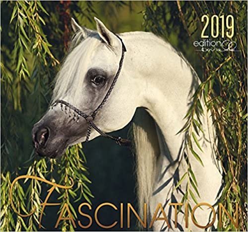 Fascination 2019: Arabische Pferde indir