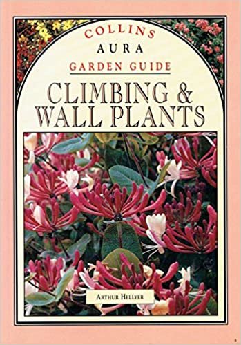 Collins Aura Garden Gd Climb Wall