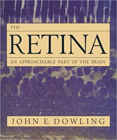 The Retina: An Approachable Part of the Brain (Belknap Press)