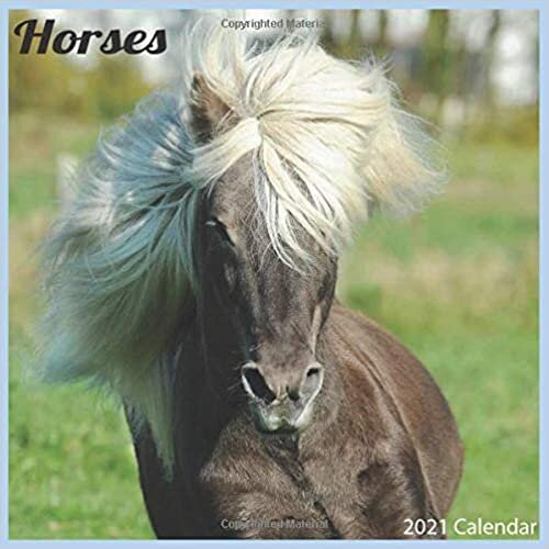 Horses 2021 Calendar: Official Horse 2021 Wall Calendar 18 months