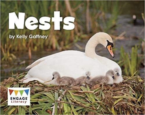 Engage Literacy Pink: Nests