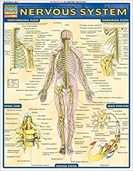 Nervous System (Quick Study Academic) indir