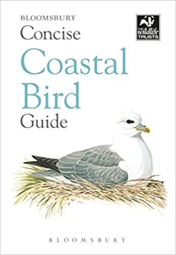 Concise Coastal Bird Guide (The Wildlife Trusts)
