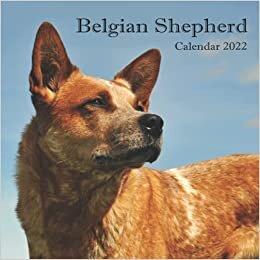 Belgian Shepherd: Wall And Office Organize 2022, Mini Calendar Size 8.5" x 17" When Open | UK and US Official Holidays | A Must Have For Belgian Shepherd Lovers.