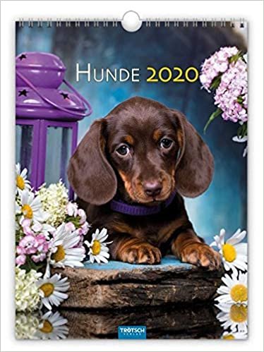 Classickalender Hunde 2020