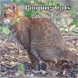 Pooping Cats Calendar 2022: Funny Animal Lover Gag Joke Gift for Women, Men, Teens | Great for Birthday, White Elephant Party, Secret Santa, Exchange, Stocking Filler or Stuffer, Christmas