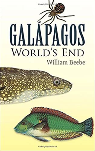 Galapagos: World's End indir