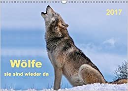 Wölfe - sie sind wieder da (Wandkalender 2017 DIN A3 quer): Es hat 150 Jahre gedauert, aber jetzt sind sie wieder da - Wölfe. (Monatskalender, 14 Seiten ) (CALVENDO Tiere)