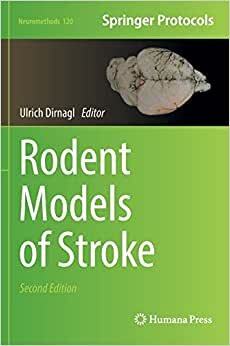Rodent Models of Stroke (Neuromethods, Band 120)