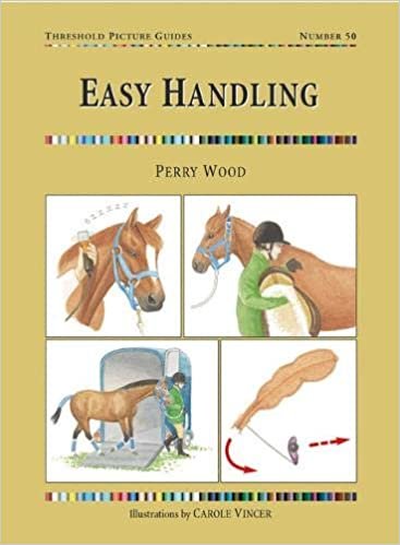 Easy Handling (Threshold Picture Guide) indir