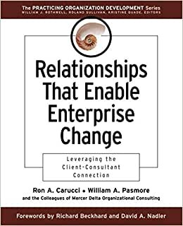 Relationships that Enable Enterprise: Leveraging the Client-consultant Connection (The Practicing Organization Development Series)