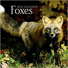 Foxes 2010