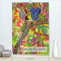 Couleurs raisins (Premium, hochwertiger DIN A2 Wandkalender 2021, Kunstdruck in Hochglanz): Grappes de raisins (Calendrier mensuel, 14 Pages ) (CALVENDO Nature)
