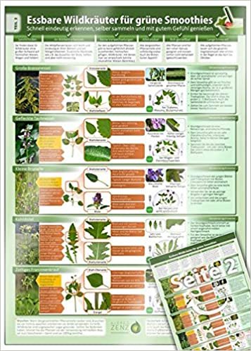 Essbare Wildkräuter für Grüne Smoothies - Erkennungskarte Teil 2 (2018) -: Schnell eindeutig erkennen, selber sammeln und mit gutem Gefühl genießen (laminiert - DINA4)