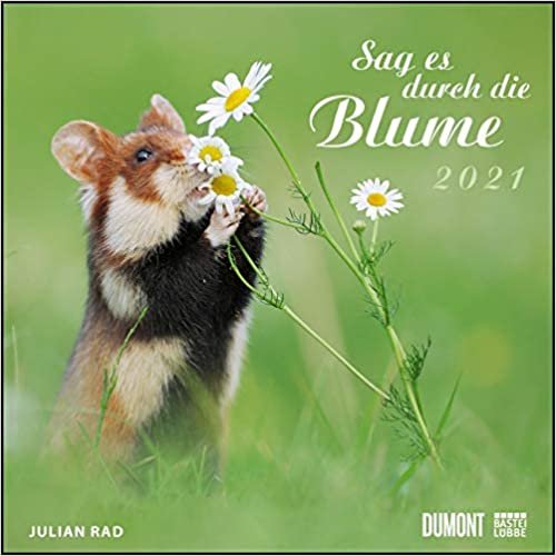 Sag es durch die Blume 2021 – Hamster, Eichhörnchen, Zwiesel in Nahaufnahme – Wandkalender mit Spiralbindung – DUMONT Quadratformat 24 x 24 cm indir