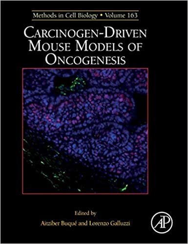 Carcinogen-Driven Mouse Models of Oncogenesis (Volume 163) (Methods in Cell Biology, Volume 163, Band 163)