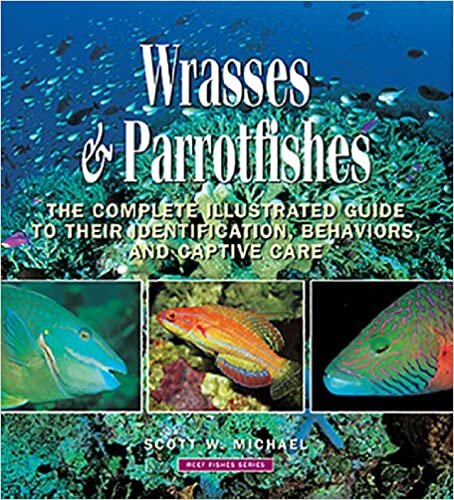 Wrasses & Parrotfishes: The Complete Illustrated Guide to Their Identification, Behaviors, and Captive Care (Reef Fishes)