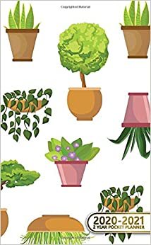 2020-2021 2 Year Pocket Planner: Cute Cacti Two-Year (24 Months) Monthly Pocket Planner & Agenda | 2 Year Organizer with Phone Book, Password Log & Notebook | Pretty Cactus In Pots Pattern