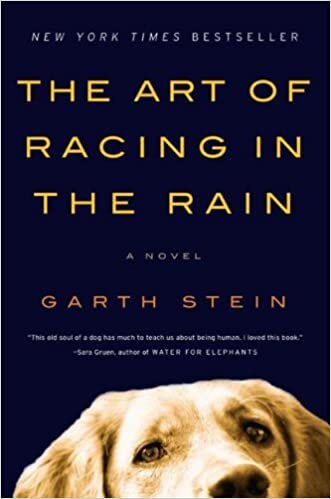 The Art of Racing in the Rain indir