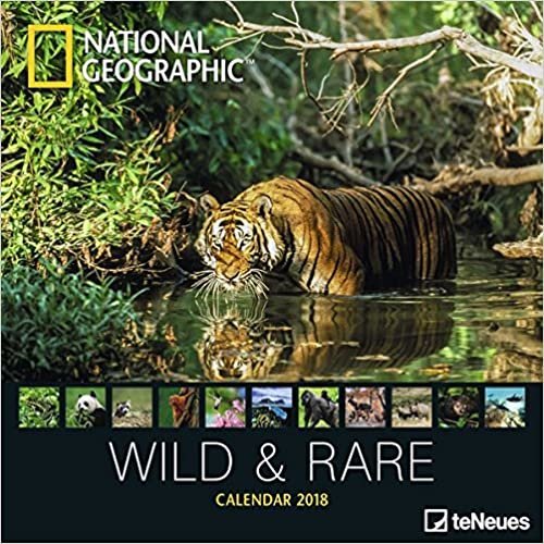 2018 National Geographic Wild & Rare Calendar - teNeues Grid Calendar - Photography Calendar - 30 x 30 cm