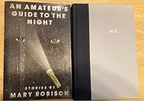 An Amateur's Guide to the Night: Stories indir