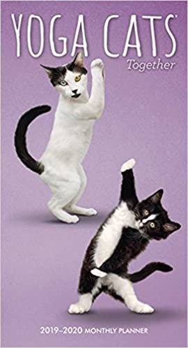 Yoga Cats Together 2019-2020 Two-Year Monthly Planner indir