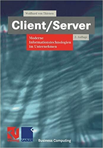 Client/Server: Moderne Informationstechnologien im Unternehmen (XBusiness Computing)