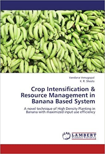 Crop Intensification & Resource Management in Banana Based System: A novel technique of High Density Planting in Banana with maximized input use efficiency