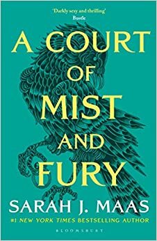 A Court of Mist and Fury: The #1 bestselling series indir