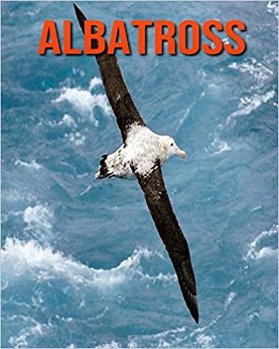 Albatross: Children Book of Fun Facts & Amazing Photos