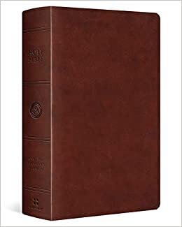 ESV Large Print Personal Size TruTone Chestnut