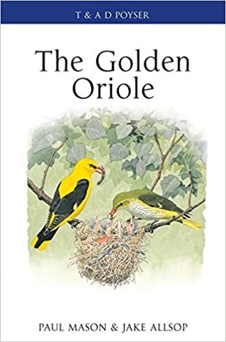 Golden Oriole (Poyser Monographs)