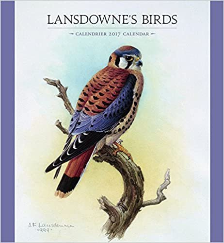 Lansdowne's Birds 2017 Wall Calendar