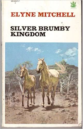 Silver Brumby Kingdom (The Dragon Books)