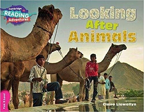 Looking After Animals Pink B Band (Cambridge Reading Adventures)