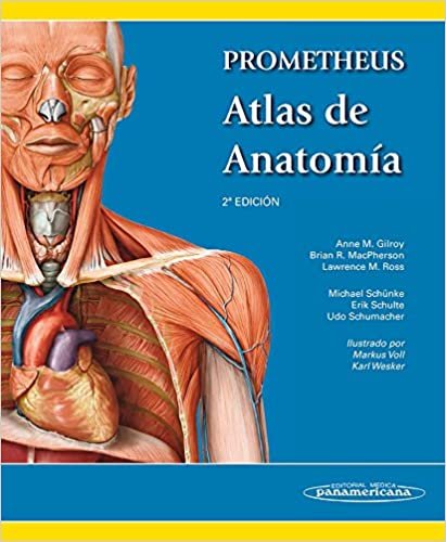 Prometheus atlas de anatomía / Atlas of Anatomy