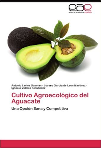 Cultivo Agroecológico del Aguacate: Una Opción Sana y Competitiva