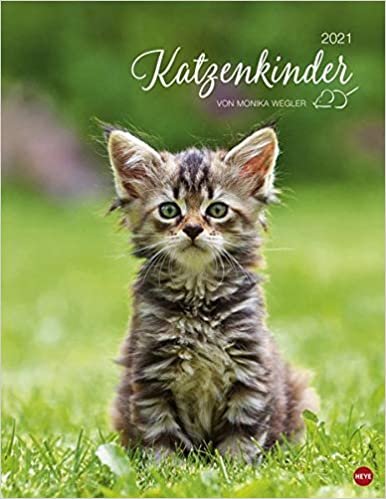 Katzenkinder Posterkalender 2021