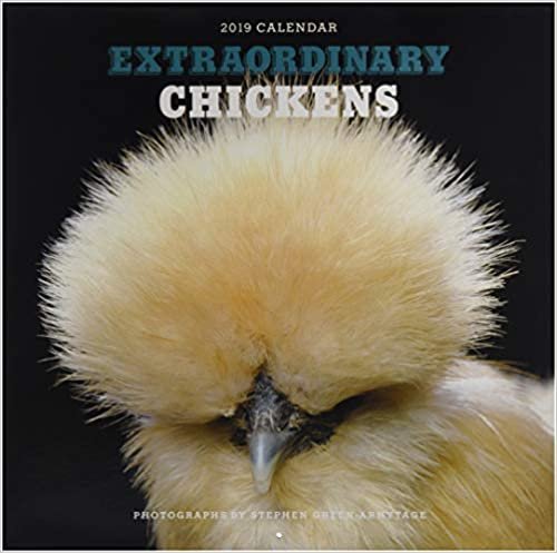 Extraordinary Chickens 2019 Wall Calendar indir