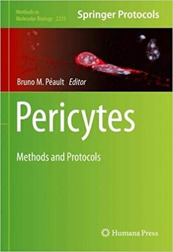 Pericytes: Methods and Protocols (Methods in Molecular Biology, 2235, Band 2235)