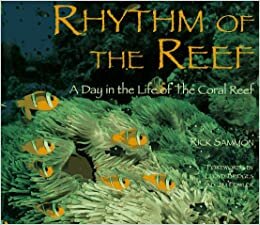 Rhythm of the Reef: A Day in the Life of the Coral Reef indir