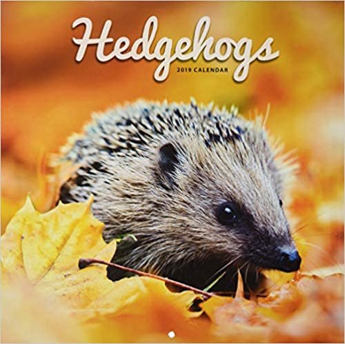 Hedgehogs - Igel 2019: Original Carousel-Kalender indir