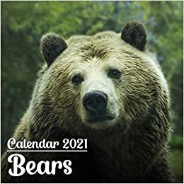 Calendar 2021 Bears: Cute Bears Photos Monthly Mini Calendar | Small Size