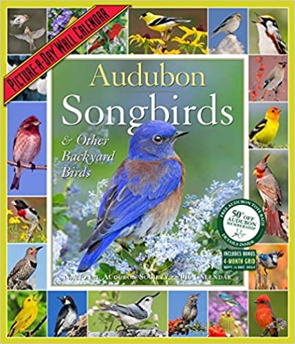 Audubon Songbirds & Other Backyard Birds Picture-A-Day Wall Calendar 2016 (2016 Calendar)