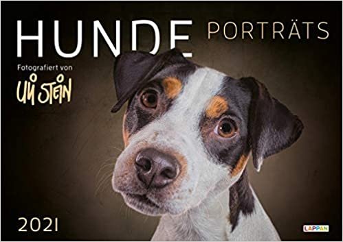 Uli Stein - Hunde Porträts 2021: Monatskalender für die Wand im Großformat