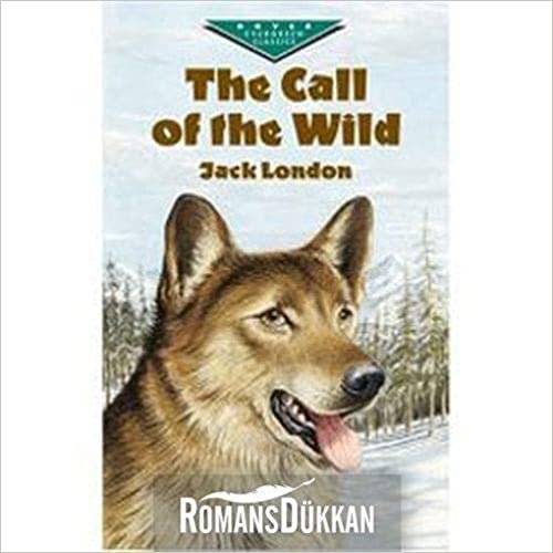 Level 4 The Call of The Wild: Worldwide Readers